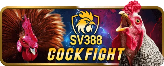 Cược miễn phí SHBET1 nhà cái