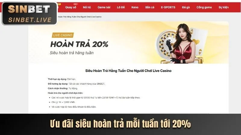 Phân tích các chương trình khuyến mãi mới nhất của shbet1 nhà cái